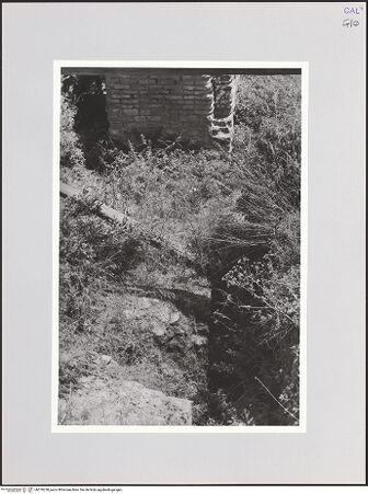 Vorderseite von bh570238_recto