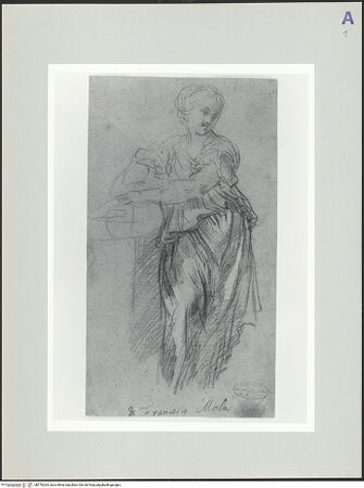 Vorderseite von bh570264_recto