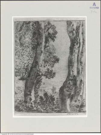 Vorderseite von bh570366_recto