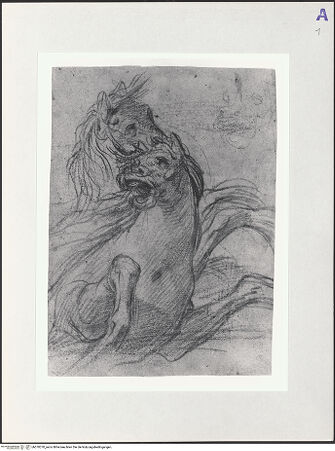 Vorderseite von bh570370_recto