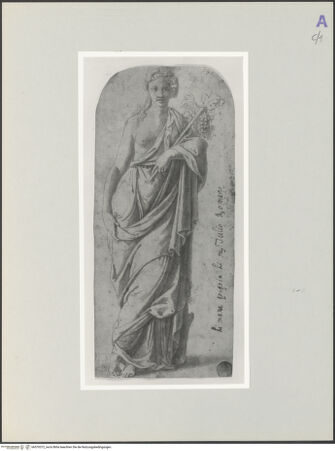 Vorderseite von bh570372_recto