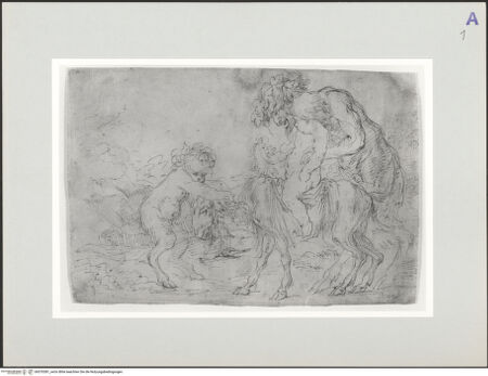 Vorderseite von bh570381_recto