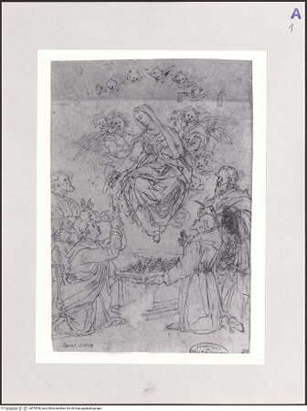 Vorderseite von bh570396_recto