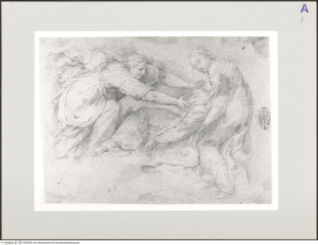 Vorderseite von bh570398_recto