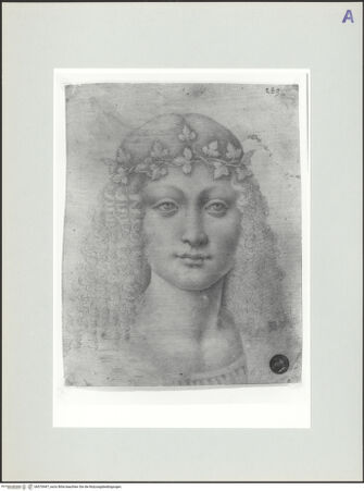 Vorderseite von bh570447_recto