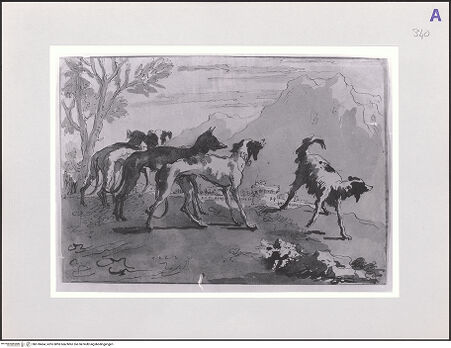 Vorderseite von bh570464_recto