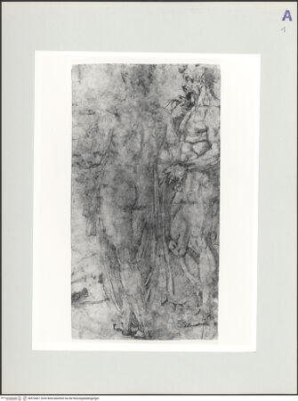 Vorderseite von bh570467_recto