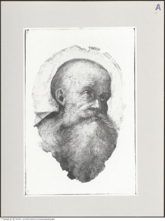 Vorderseite von bh570971_recto