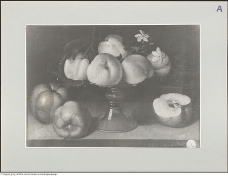 Vorderseite von bh570998_recto