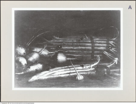 Vorderseite von Museo Civico Ala Ponzone Cremona [https://www.deutsche-digitale-bibliothek.de/content/lizenzen/rv-ez/] Stilleben mit Rüben, Wurzeln und Knoblauch - , bh571000_recto. Foto.