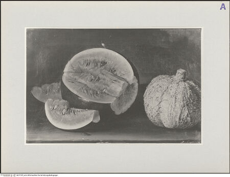 Vorderseite von bh571022_recto