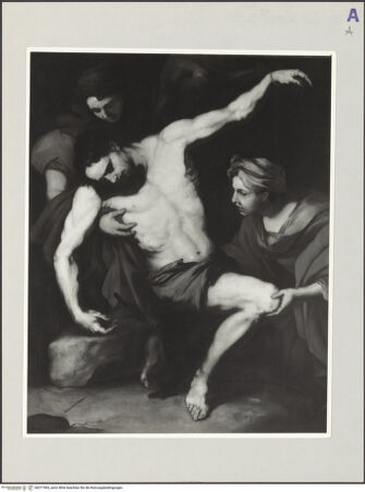 Vorderseite von bh571965_recto