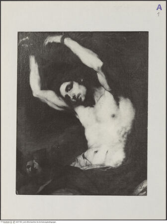 Vorderseite von Soprintendenza ai Monumenti e Gallerie per le Province di Pisa, Livorno, Lucca e Massa Carrara [https://www.deutsche-digitale-bibliothek.de/content/lizenzen/rv-ez/] Der heilige Sebastian, an einen Pfahl gebunden - , bh571967_recto. Foto.