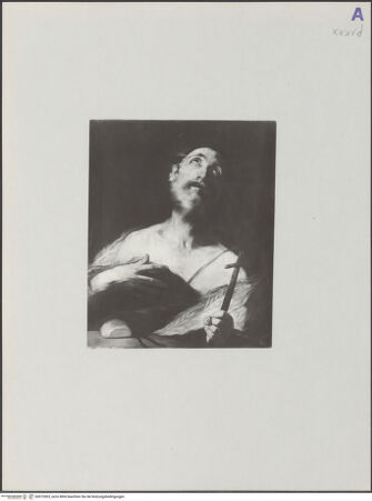 Vorderseite von Deutsche Fotothek [https://www.deutsche-digitale-bibliothek.de/content/lizenzen/rv-ez/] Der Einsiedler Paulus - , bh572003_recto. Foto.