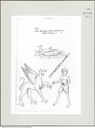 Vorderseite von bh572106_recto