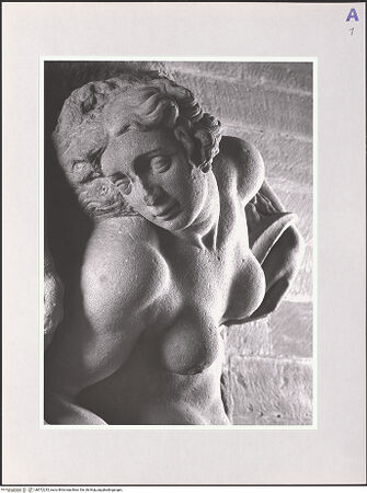 Vorderseite von bh572235_recto