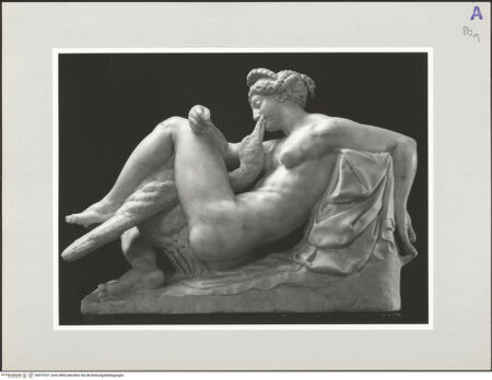 Vorderseite von Kunsthistorisches Institut in Florenz [http://creativecommons.org/licenses/by-nc-sa/4.0/] Leda mit dem Schwan - Frontalansicht, bh572237_recto. Foto: Sigismondi, Roberto.