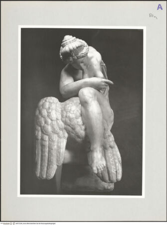 Vorderseite von Kunsthistorisches Institut in Florenz [http://creativecommons.org/licenses/by-nc-sa/4.0/] Leda mit dem Schwan - Frontale Ansicht des Kopfes und Oberkörpers der Leda, bh572240_recto. Foto: Sigismondi, Roberto.