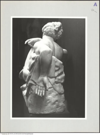 Vorderseite von Kunsthistorisches Institut in Florenz [http://creativecommons.org/licenses/by-nc-sa/4.0/] Leda mit dem Schwan - Rückenansicht der Leda, bh572241_recto. Foto: Sigismondi, Roberto.