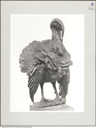 Vorderseite von bh572279_recto