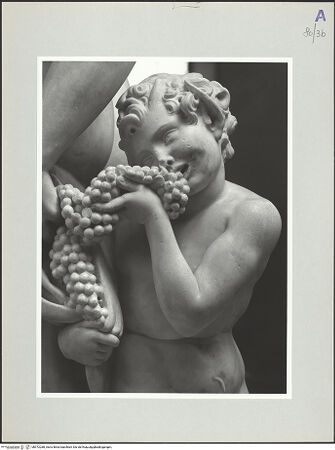 Vorderseite von bh572288_recto