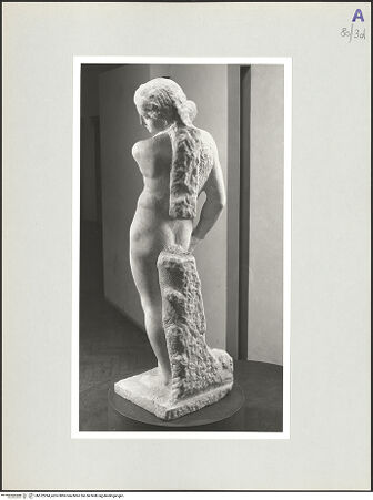 Vorderseite von bh572294_recto