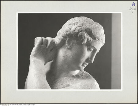 Vorderseite von bh572295_recto