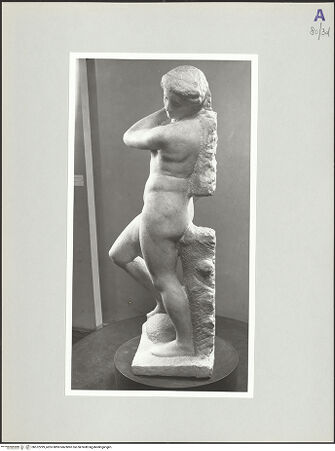 Vorderseite von bh572299_recto