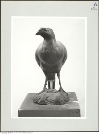 Vorderseite von bh572315_recto