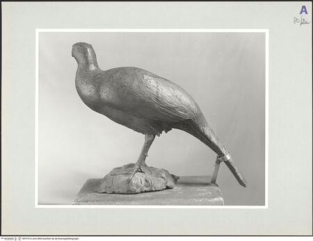 Vorderseite von bh572316_recto