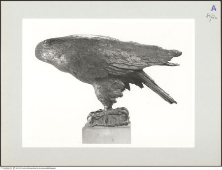 Vorderseite von bh572319_recto