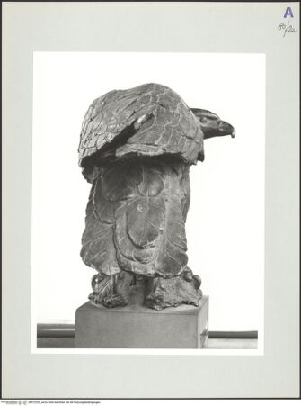 Vorderseite von bh572320_recto