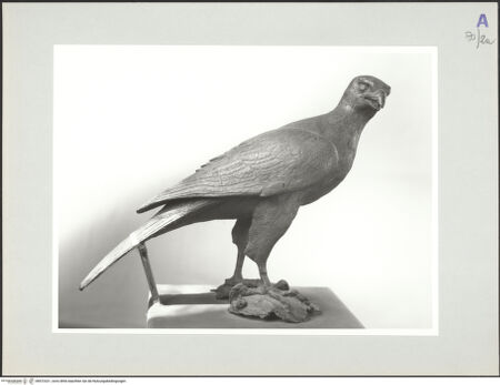 Vorderseite von bh572321_recto