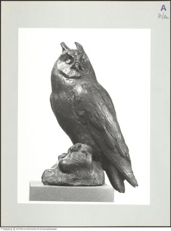 Vorderseite von bh572328_recto