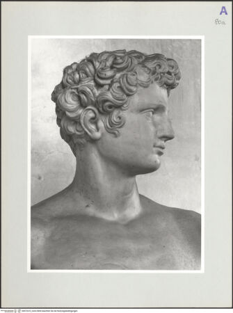 Vorderseite von Kunsthistorisches Institut in Florenz [http://creativecommons.org/licenses/by-nc-sa/4.0/] Personifikation der Temperantia - Detail: Rechtes Kopfprofil, bh572412_recto. Foto: Sigismondi, Roberto.