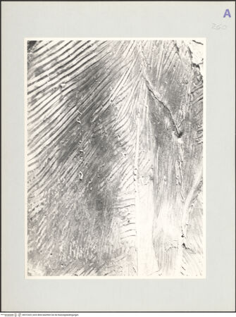 Vorderseite von bh572425_recto