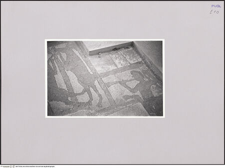 Vorderseite von Bibliotheca Hertziana [https://www.deutsche-digitale-bibliothek.de/content/lizenzen/rv-fz/] Fußbodenmosaik mit dem Sündenfall, Alexander dem Großen, Zentaur und Tieren - Mosaikboden südlich des Altars (Tiere und Zentaur), bh572960_recto. Foto: Hahn, Hanno.