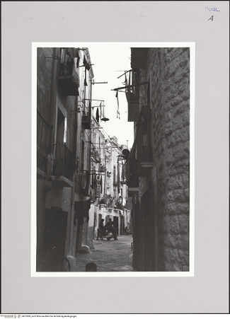 Vorderseite von bh573083_recto