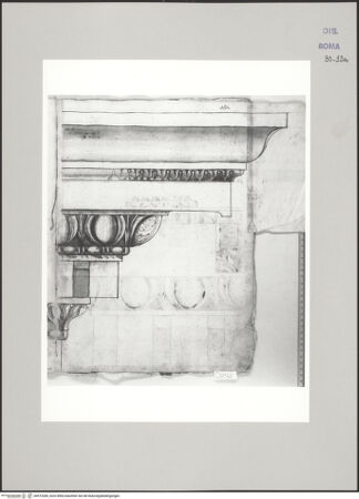 Vorderseite von Istituto Nazionale per la Grafica [https://www.deutsche-digitale-bibliothek.de/content/lizenzen/rv-ez/] Codice D (2504)Trajansforum, Gesims im Aufriss - , bh573284_recto. Foto.