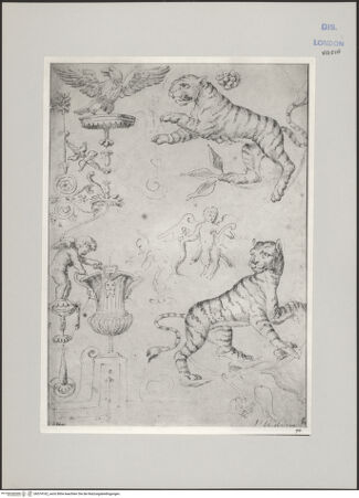 Vorderseite von bh574162_recto