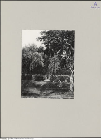 Vorderseite von bh574259_recto