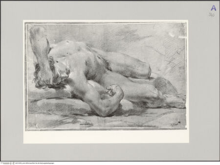 Vorderseite von bh574290_recto