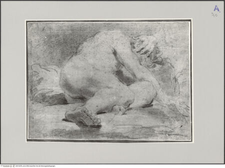 Vorderseite von bh574295_recto