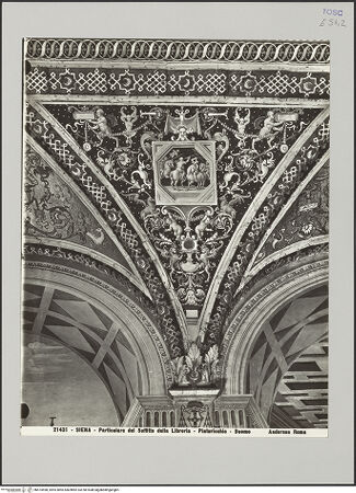 Vorderseite von bh574498_recto