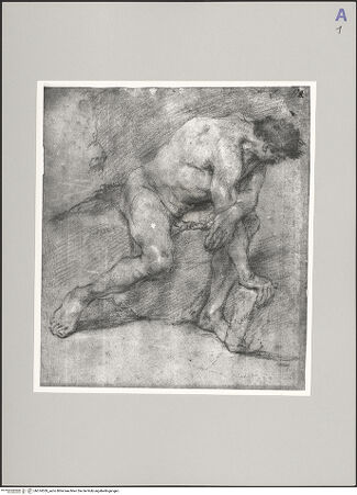 Vorderseite von bh574539_recto