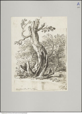 Vorderseite von bh574556_recto