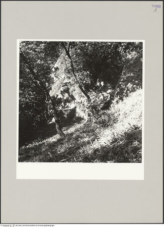 Vorderseite von bh574562_recto