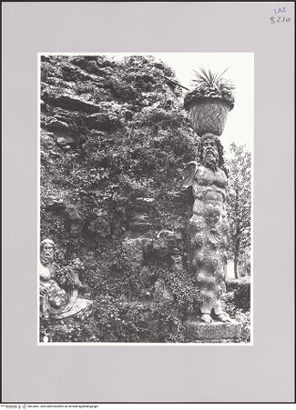 Vorderseite von bh574601_recto