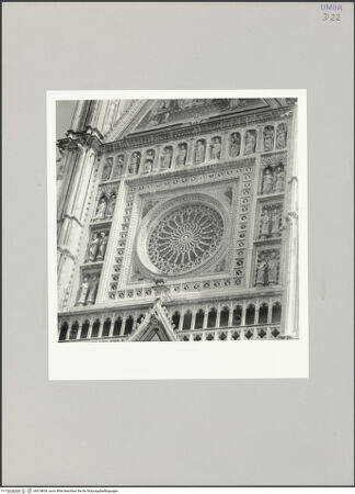 Vorderseite von Bibliotheca Hertziana [http://creativecommons.org/licenses/by-nc-sa/4.0/] Duomo & Santa Maria Assunta in Cielo - Fensterrose, bh574659_recto. Foto: D'Onofrio, Cesare.
