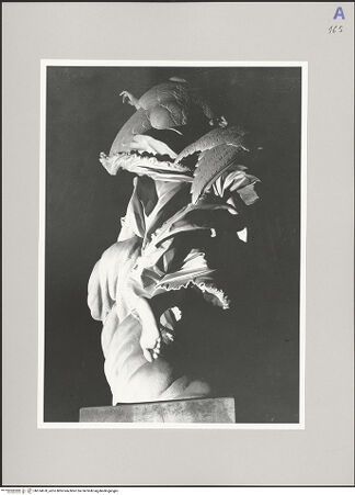 Vorderseite von Bibliotheca Hertziana [http://creativecommons.org/licenses/by-nc-sa/4.0/] Verkündigungsgruppe - Engel: Rückansicht, bh574670_recto. Foto: D'Onofrio, Cesare.